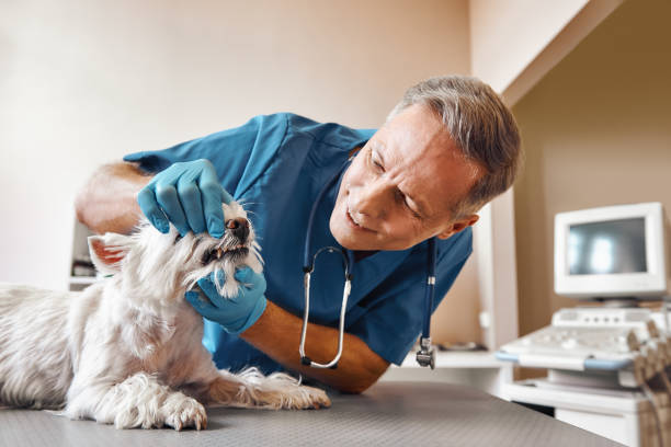 Best Emergency Denture Repair in Covington, LA